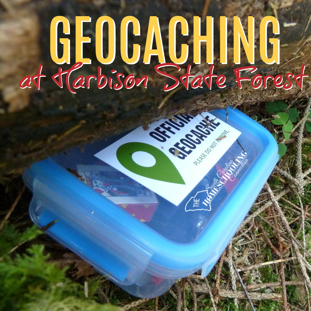 What's in Your Geocaching Maintenance Kit?  The Geocaching Junkie – The  Geocaching Junkie